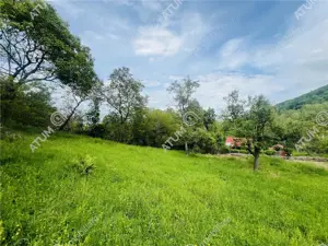 Teren intravilan de 1811 mp situat in Sibiel judetul Sibiu - imagine 10