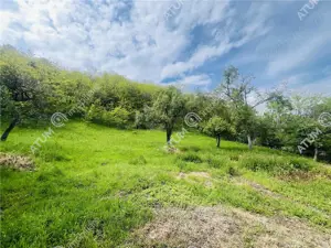 Teren intravilan de 1811 mp situat in Sibiel judetul Sibiu - imagine 4