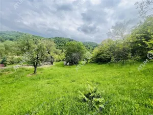 Teren intravilan de 1811 mp situat in Sibiel judetul Sibiu - imagine 9