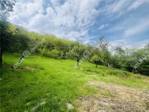 Teren intravilan de 1811 mp situat in Sibiel judetul Sibiu - imagine 13