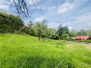 Teren intravilan de 1811 mp situat in Sibiel judetul Sibiu - imagine 12