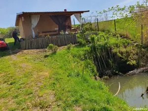 Livadă de vanzare - imagine 4