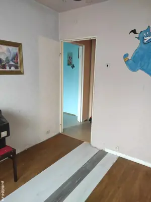 Ap 2 camere etj 1 str.Al Streiului - imagine 3