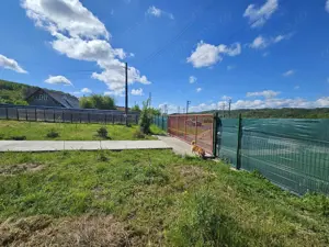 Proprietate deosebită de vânzare – Drăganu, Argeș - imagine 6