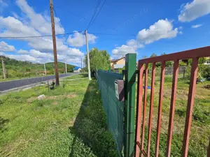 Proprietate deosebită de vânzare – Drăganu, Argeș - imagine 11