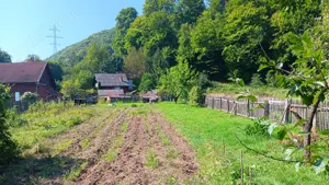 Teren de vanzare in Praid - imagine 2