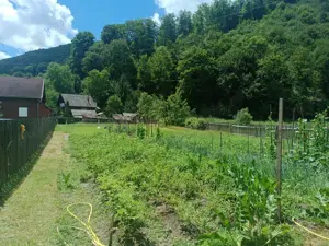 Teren de vanzare in Praid - imagine 4