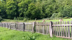 Teren de vanzare in Praid - imagine 3