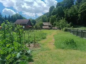 Teren de vanzare in Praid - imagine 6