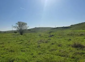 Cota de 1/2 din teren extravilan, comuna Rogova, Jud Mehedinti - imagine 2