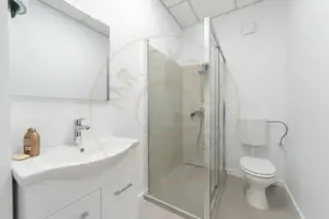 Spațiu comercial de închiriat – 103 mp – Craiovei - amenajat nou! - imagine 8