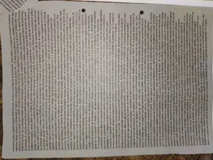 Teren intravilan, Zalău, 20000mp, str. MAGURICEI.  - imagine 6