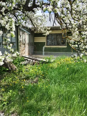 Vand casa si teren in Oltenesti, jud Vaslui