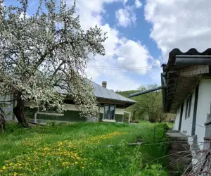 Vand casa si teren in Oltenesti, jud Vaslui - imagine 2