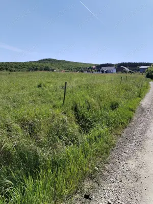 Teren intravilan, Zalău, 20000mp, str. MAGURICEI.  - imagine 4