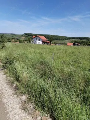 Teren intravilan, Zalău, 20000mp, str. MAGURICEI.  - imagine 5