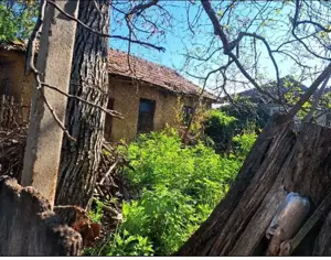 Cota de 1/2 din casa si teren- sat Poroinița, Comuna Rogova, Jud Mehedinti;