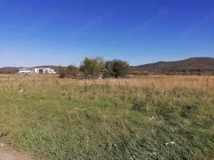 Teren intravilan  3000 mp constructii industriale