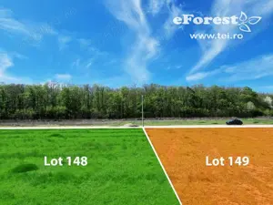 Teren premium in cartier rezidential eForest, doua paduri - imagine 10