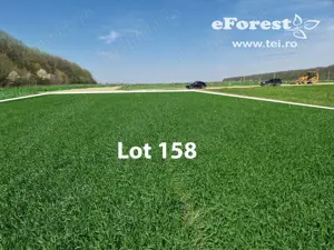 Teren premium in cartier rezidential eForest, doua paduri - imagine 8