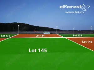 Paștele vine cu prețuri speciale!e!!! eForest, teren cu deschidere spre padure - imagine 7