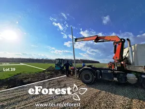 Profită acum de oferta de Paște! Teren aproape de natură și București, acces din DN1A, eForest - imagine 10