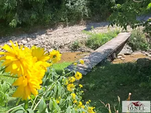 Casa de vanzare in zona Vintu cu 10.790 mp teren - imagine 9