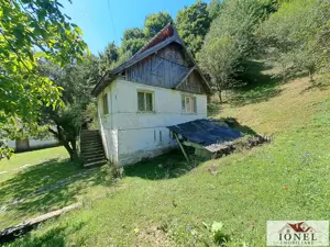 Casa de vanzare in zona Vintu cu 10.790 mp teren - imagine 8