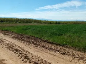 Teren extravilan 2200 mp Arcus -Valea Crisului - imagine 6