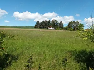 Teren extravilan 2200 mp Arcus -Valea Crisului - imagine 7