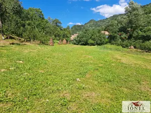 Casa de vanzare in zona Vintu cu 10.790 mp teren - imagine 12