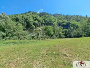 Casa de vanzare in zona Vintu cu 10.790 mp teren - imagine 11