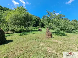 Casa de vanzare in zona Vintu cu 10.790 mp teren - imagine 13