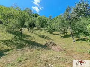 Casa de vanzare in zona Vintu cu 10.790 mp teren - imagine 15