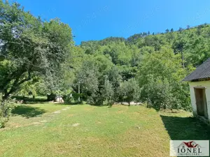 Casa de vanzare in zona Vintu cu 10.790 mp teren - imagine 17