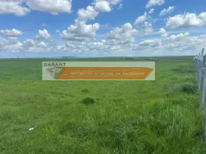 Teren Albota, excelent pentru investitii, suprafata 20000mp, front 98m - imagine 3