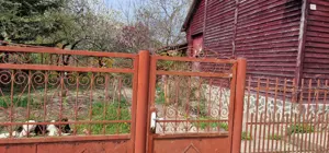 Vand casa la Taut  - imagine 10