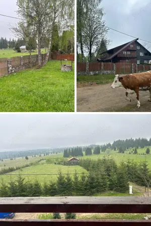 Casă P+2M, 330 mp desfășurați, 1000 mp teren   ideală pentru pensiune, Râșca (Cluj) - imagine 7