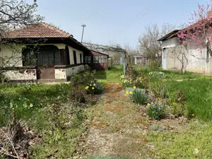 Vand 1644mp teren intravilan in sat Pasarea, comuna Frumusani, judetul Calarasi