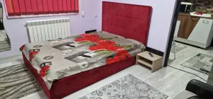 PROPRIETAR-Brotăcei(tic-tac)-Centrală gaz,termen lung - imagine 3