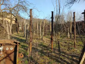 Casa in Licurici - imagine 7