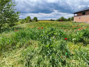 Teren intravilan Comuna Nanov, jud. Teleorman, 5.800 mp - imagine 2