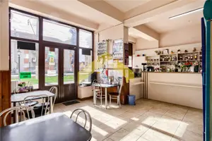Spatiu comercial de vanzare centru Vladimirescu - imagine 5