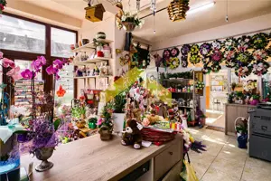 Spatiu comercial de vanzare centru Vladimirescu - imagine 10