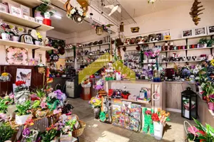 Spatiu comercial de vanzare centru Vladimirescu - imagine 11