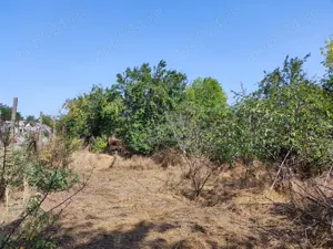 Teren intravilan Corbu 1.157 mp, front stradal 14 m, strada principală - imagine 6