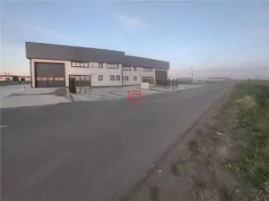 Vanzare depozit hala spatiu industrial Domnesti - Centura, Ilfov - imagine 5