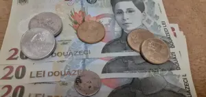 28 bancnote de 20 lei necirculate, 5 consecutive si 7 monede