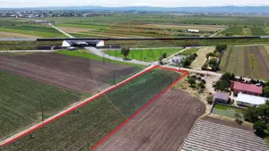 Teren intravilan/extravilan Jorasti / Strada Forturi ( principala)