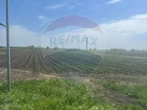 Teren intravilan/extravilan Jorasti / Strada Forturi ( principala) - imagine 3